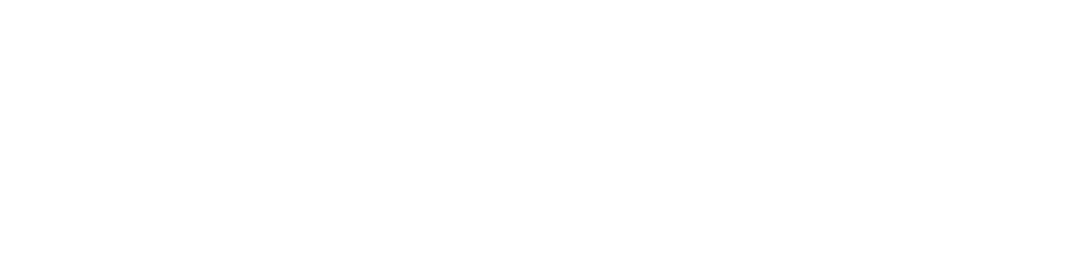 doppel+